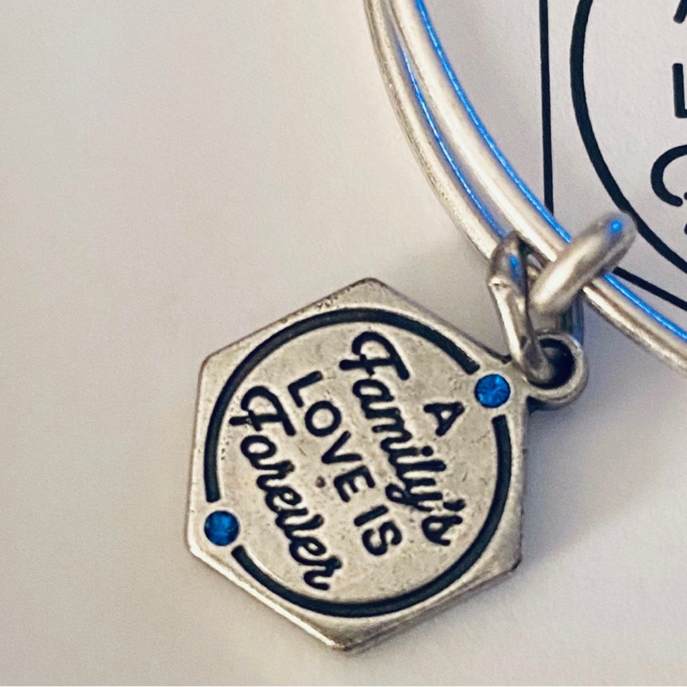 Alex And Ani A Family’s Love Is Forever Bracelet